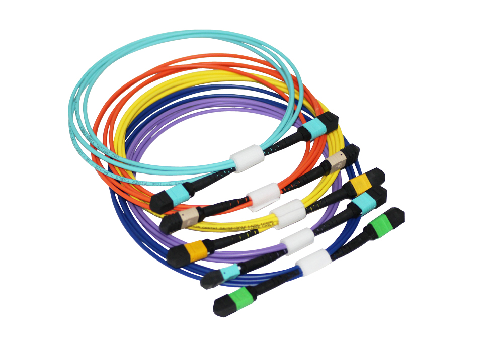 MPO MTP Trunk Cable